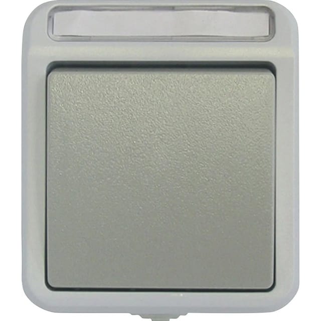 ASS AP/FR Aus-/Wechselschalter IP54