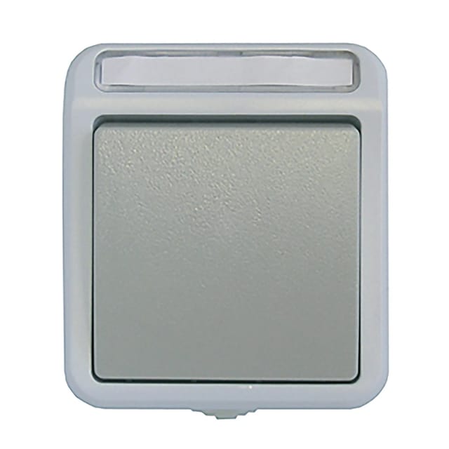 ASS AP/FR Kreuzschalter IP54