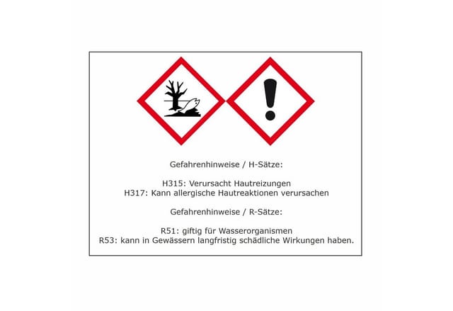 Wunderbaum Kirsche 3er-Set