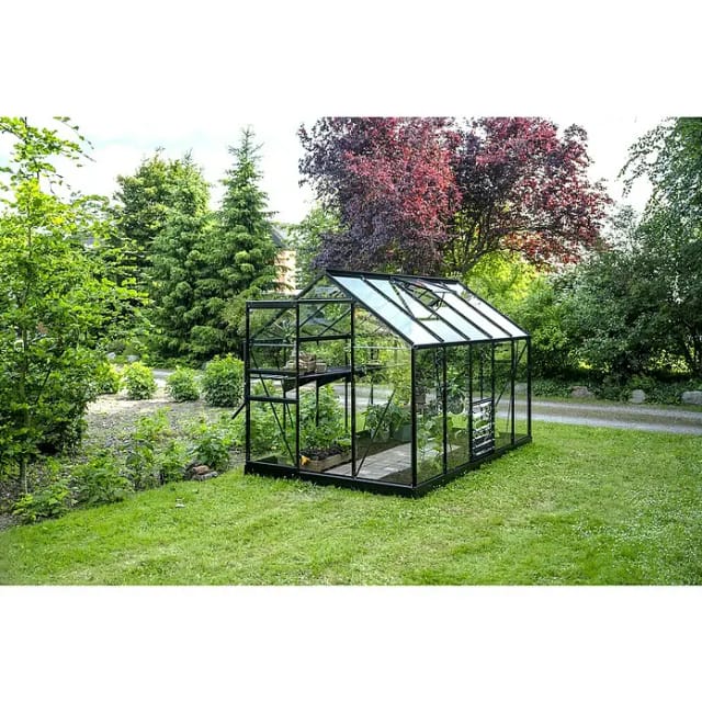 Halls Gewächshaus Popular Set Popular 106 Schwarz 6,2 m² inkl. Fundamentrahmen