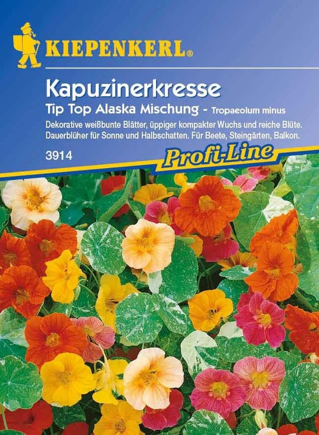 Kiepenkerl Kapuzinerkresse Tip Top Alaska Mischung Mehrfarbig