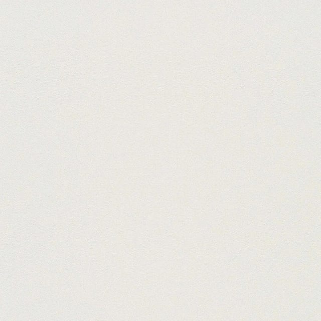 Erismann Vliestapete Elle 3 mit Unistruktur Beige