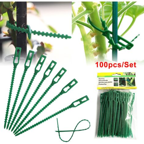 Verstellbare Baumbinder, 100 Stück, Flexibles Kabel Zur Stützung Von Rosensträuchern Und Anderen Sträuchern