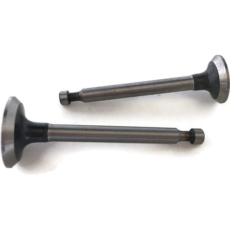 Ersatz-einlass- Und Auslassventile En Ex 14711-ze0-010 000 14721-ze0-000 810 Für Honda Gx110 Gxv120 4 Ps Rasenmäher- Und Trimmermotor