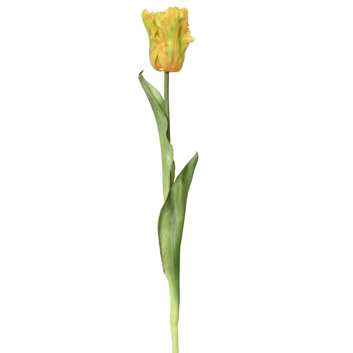Everlands Papagei-tulpe Gelb & Grün Ø 6 Cm 51 Cm - Kunstblumen