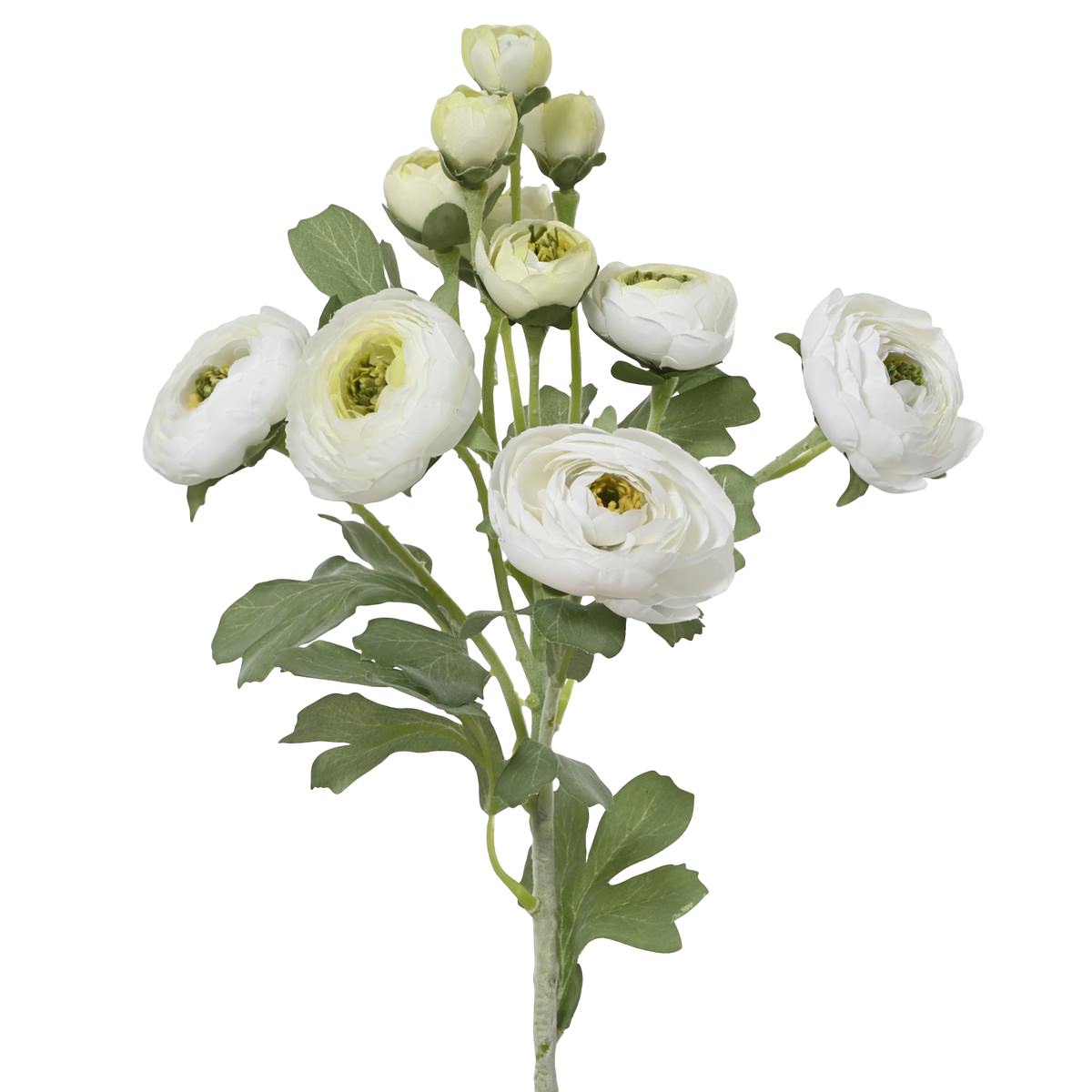 Everlands Ranunkeln Weiß 6 Blüten & 6 Knospen 55 Cm - Kunstblumen