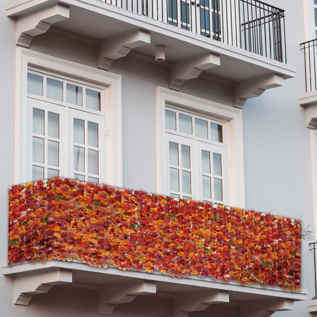 MCW Balkonsichtschutz N77 300x150cm Blatt - 300x150cm Ahorn Rot-gelb