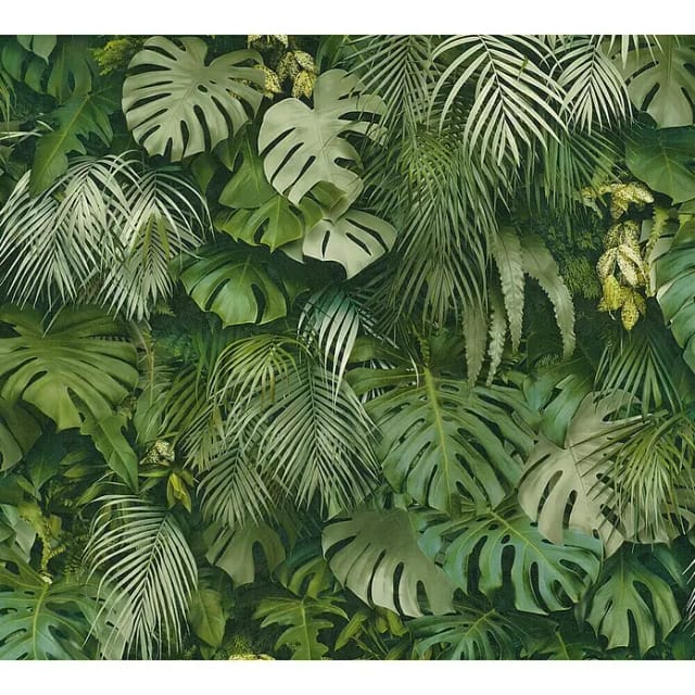 Bricoflor Tapete mit Palmenblättern in Grün 3D Tapete mit Monstera Design für Küche und Schlafzimmer Exotische Vliestapete mit Dschungel Muster