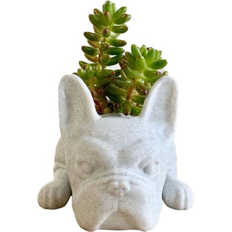 Welpen-topfdekoration Aus Harz, Hunde-blumenpflanze
