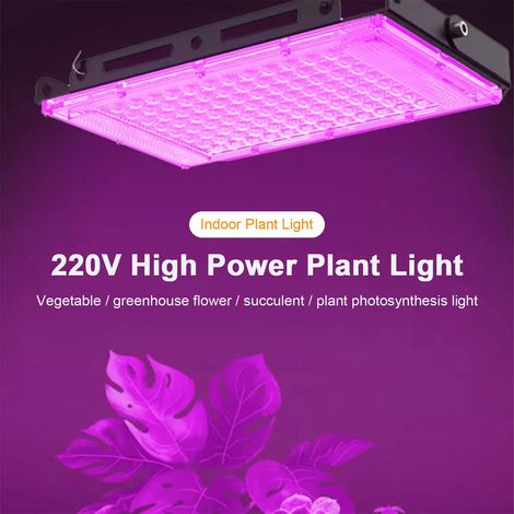 Volllicht-led-pflanzenlampe Für Zimmerpflanzen, Kakteen Und Bonsai – 200 W, 216 Leds 2835