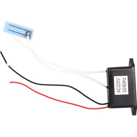 Ozongenerator (200 Mg/h) Für Luftreiniger Und Obst-/gemüsereinigung – Selbstbau, 220–240 V