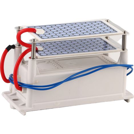 Tragbarer Ozongenerator 10 G/h, 110 V Wechselstrom, Integrierte Keramikplatte Zur Luftsterilisation