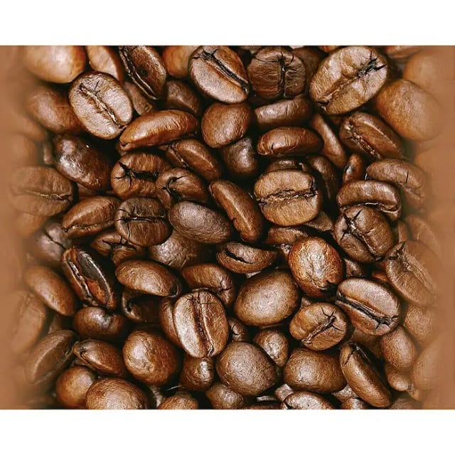 Bricoflor Selbstklebende Küchentapete mit Kaffee Motiv Tapeten Panel mit Kaffeebohnen Ideal für Küche und Cafe ausgefallenes Wandpanel in Dunkelbraun