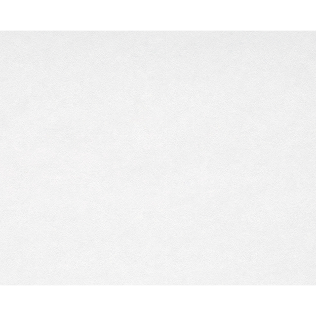 Bricoflor Malervlies 10M Lang Ideal als untertapete für Vliestapete und Papiertapete Renoviervlies 130G für untergrund vorbereitung zum Tapezieren
