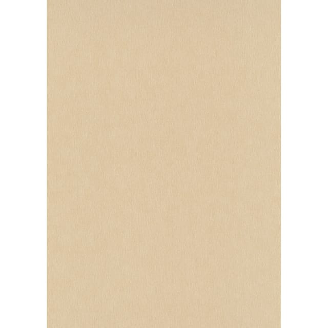 Bricoflor Einfarbige Vliestapete in Gold