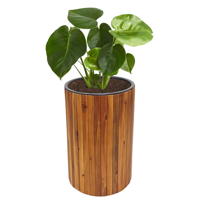 MCW Pflanzkasten L24-R 50x34cm