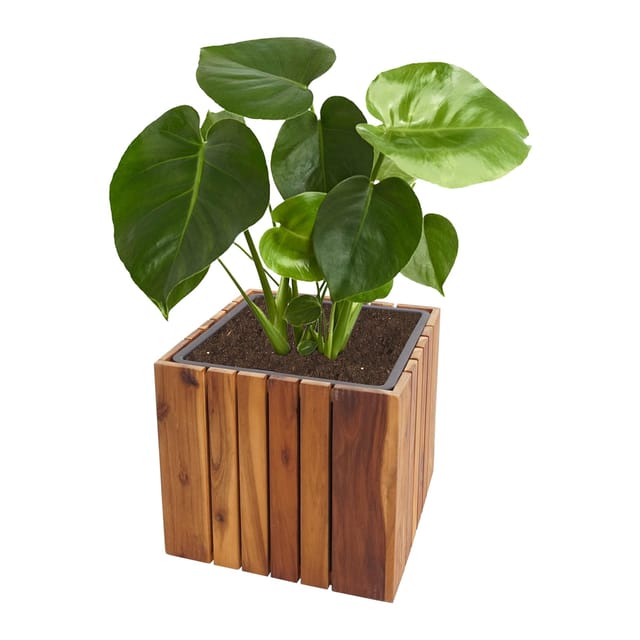 MCW Pflanzkasten L24-E 32x32x32cm
