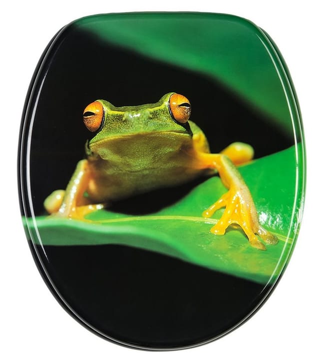 Sanilo WC Sitz Frosch-Grün, Hochwertiger und Stabiler Toilettendeckel aus Holz