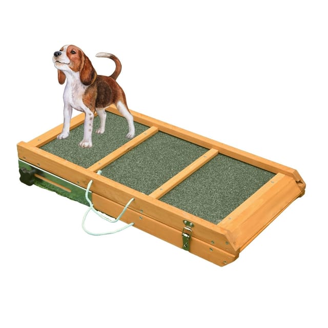Coemo Hunde Rampe Klappbar mit Anti Rutsch Belag