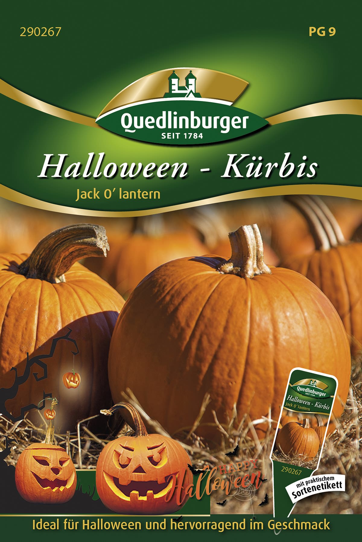 Quedlinburger Halloween-kürbis Jack O'Lantern - Gemüsesamen
