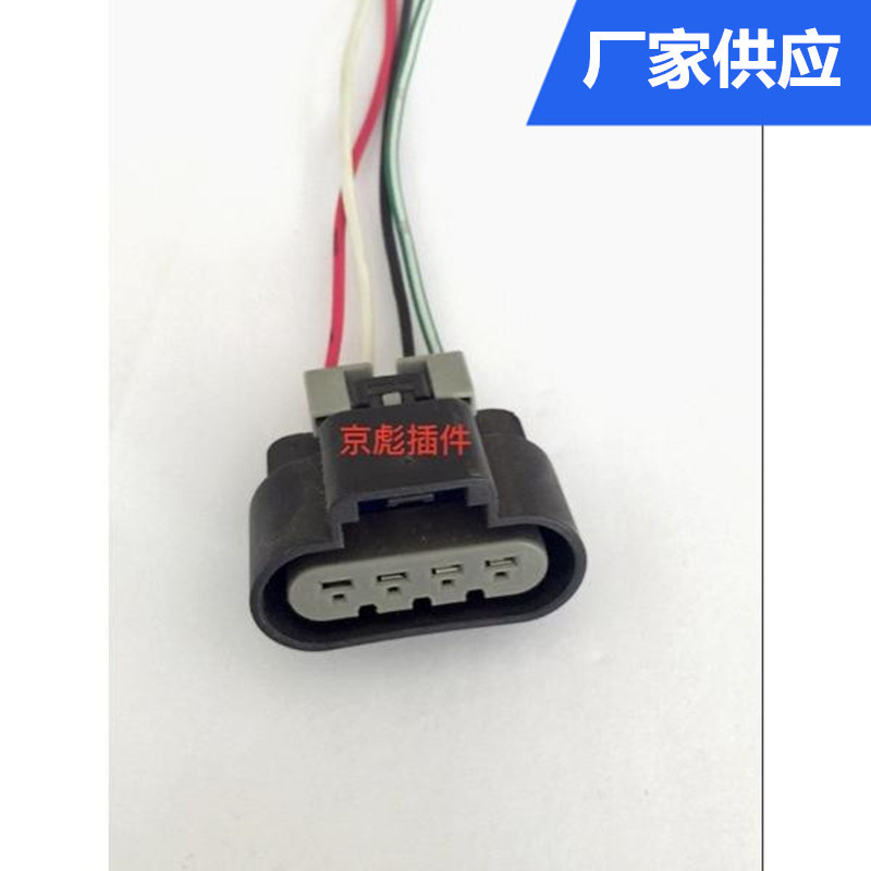 Ensemble Pompe À Carburant/faisceau De Câblage/fiche Byd F3/f6/f0/hafei Zhongyi/jiabao/buick/free Cruiser
