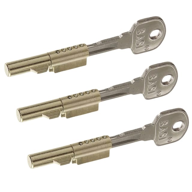 Basi - Schlüssellochsperrer - SS 12 - SET - Gleichschließend - je 2 Schlüssel - 3X9000-1201