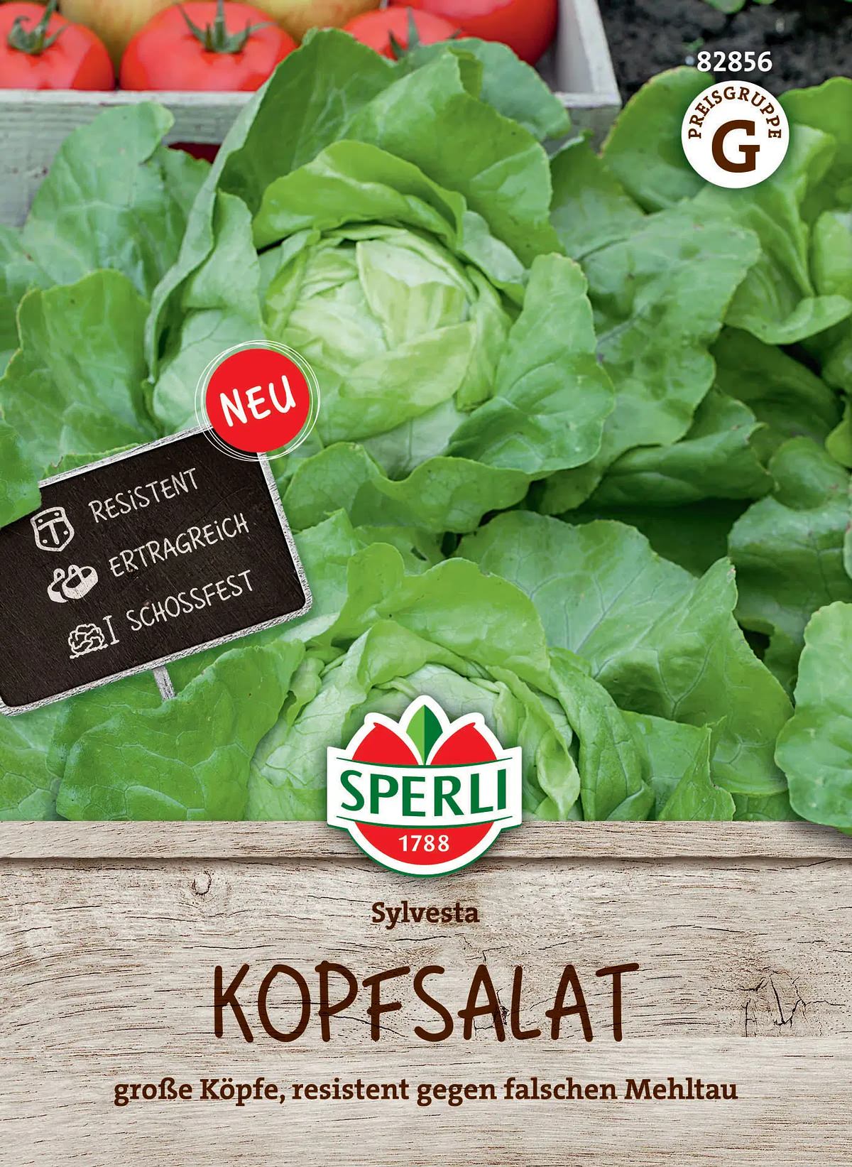 Sperli Kopfsalat Sylvesta - Gemüsesamen