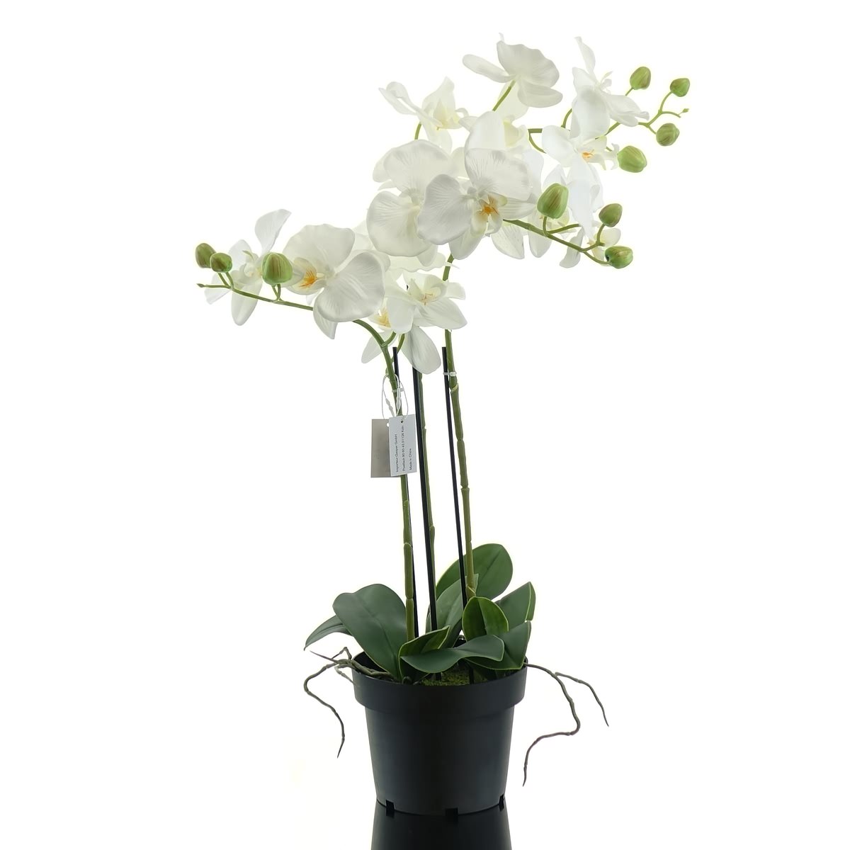 Gasper Schmetterlingsorchidee - Phalaenopsis Weiß 62 Cm - Kunstpflanzen