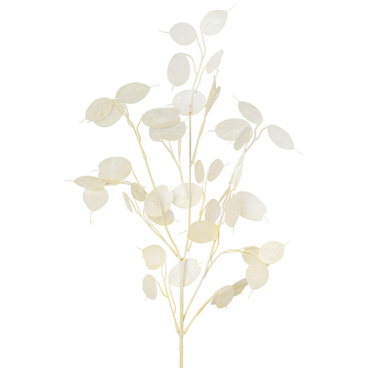 Gasper Silberblatt-lunaria Pfennigblatt Creme 76 Cm - Kunstpflanzen