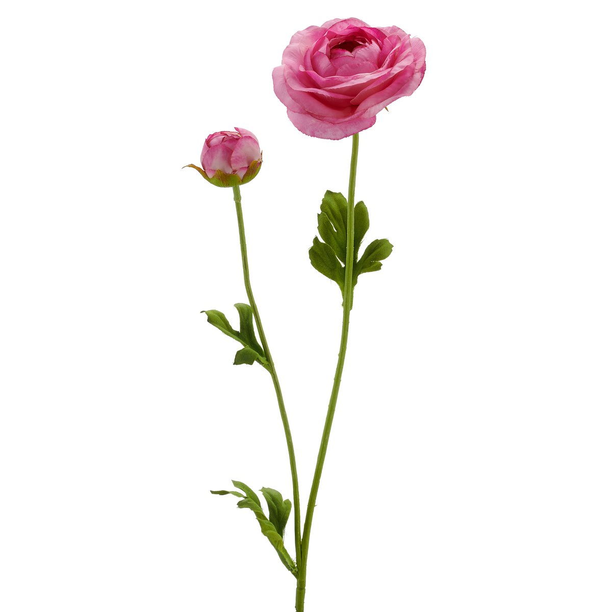 Gasper Ranunkel Pink Bklüte Mit Knospe Ø 8,5 Cm 63 Cm - Kunstblumen