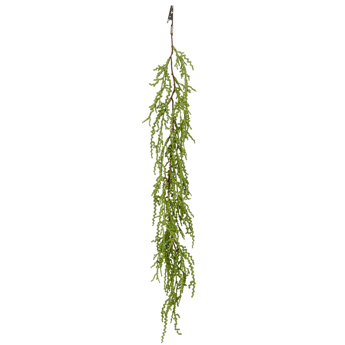 Gasper Sukkulenten Ranke Grün Mit Krokodilklemme 57 Cm - Kunstpflanzen