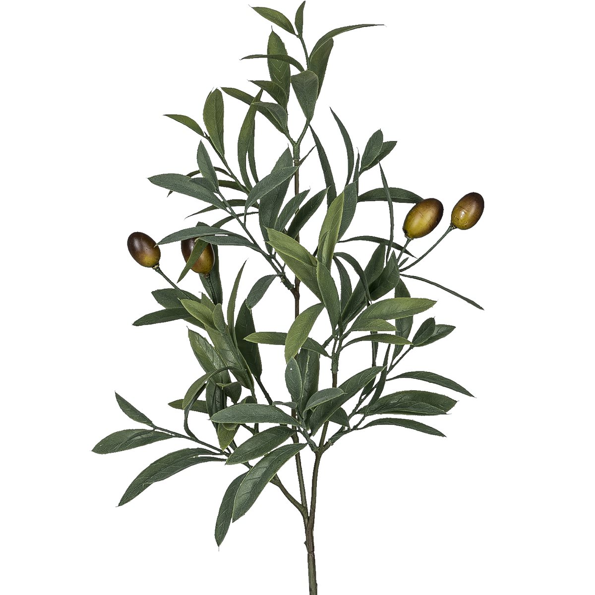 Gasper Olivenzweig Grün Mit 4 Oliven 56 Cm - Kunstpflanzen