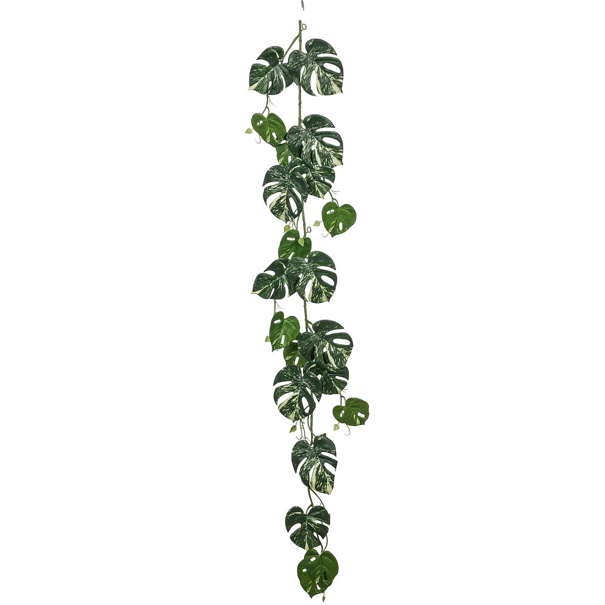 Gasper Mini-fensterblatt-monstera Ranke Grün & Creme 135 Cm - Kunstpflanzen