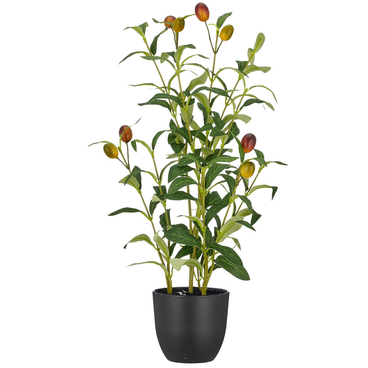 Gasper Olivenstrauch Grün Mit 8 Früchten & Schwarzem Topf 48 Cm - Kunstpflanzen