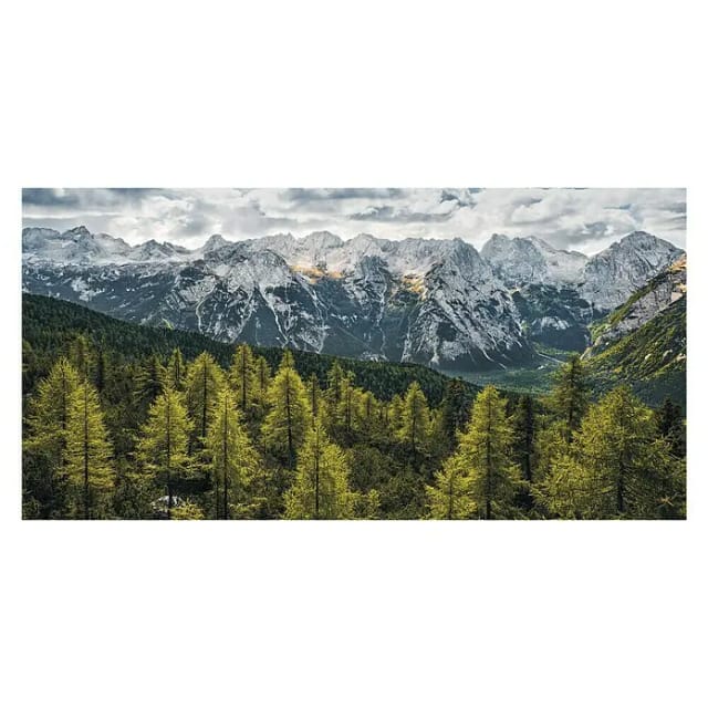 Sanders & Sanders Poster Landschaft Grün und Grau 200 x 100 cm 612570