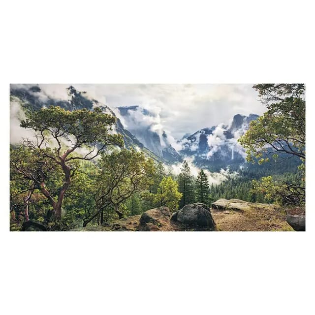 Sanders & Sanders Poster Landschaft Grün und Grau 200 x 100 cm 612568