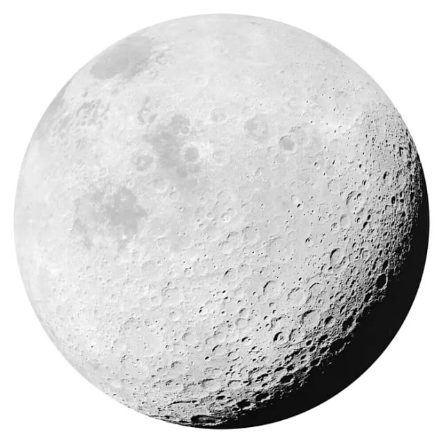 Sanders & Sanders Selbstklebende Runde Tapete Luna Grau Ø 125 cm 611763