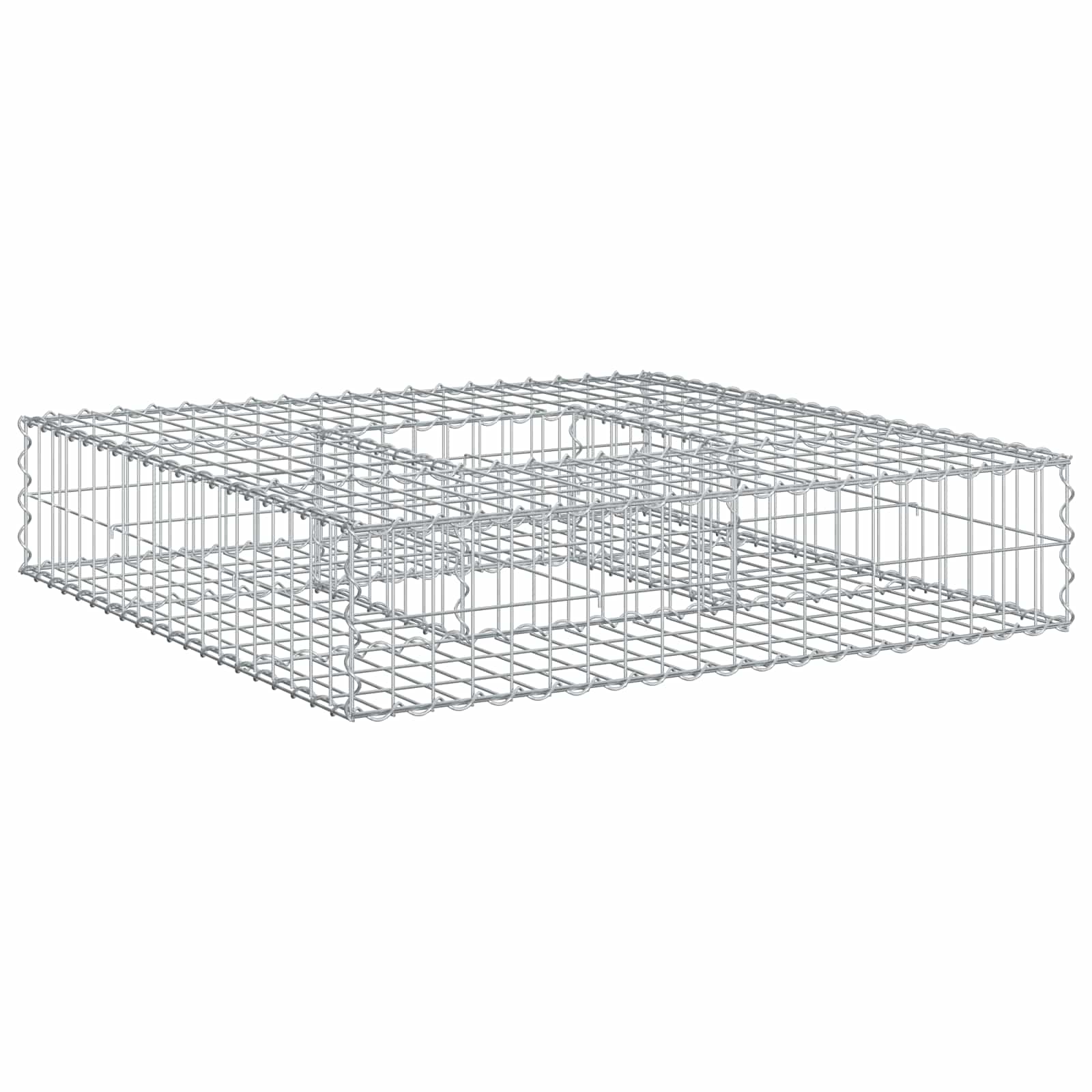 Maison Exclusive - Gabionen Hochbeet 100 X 100 X 20 Cm Verzinkter