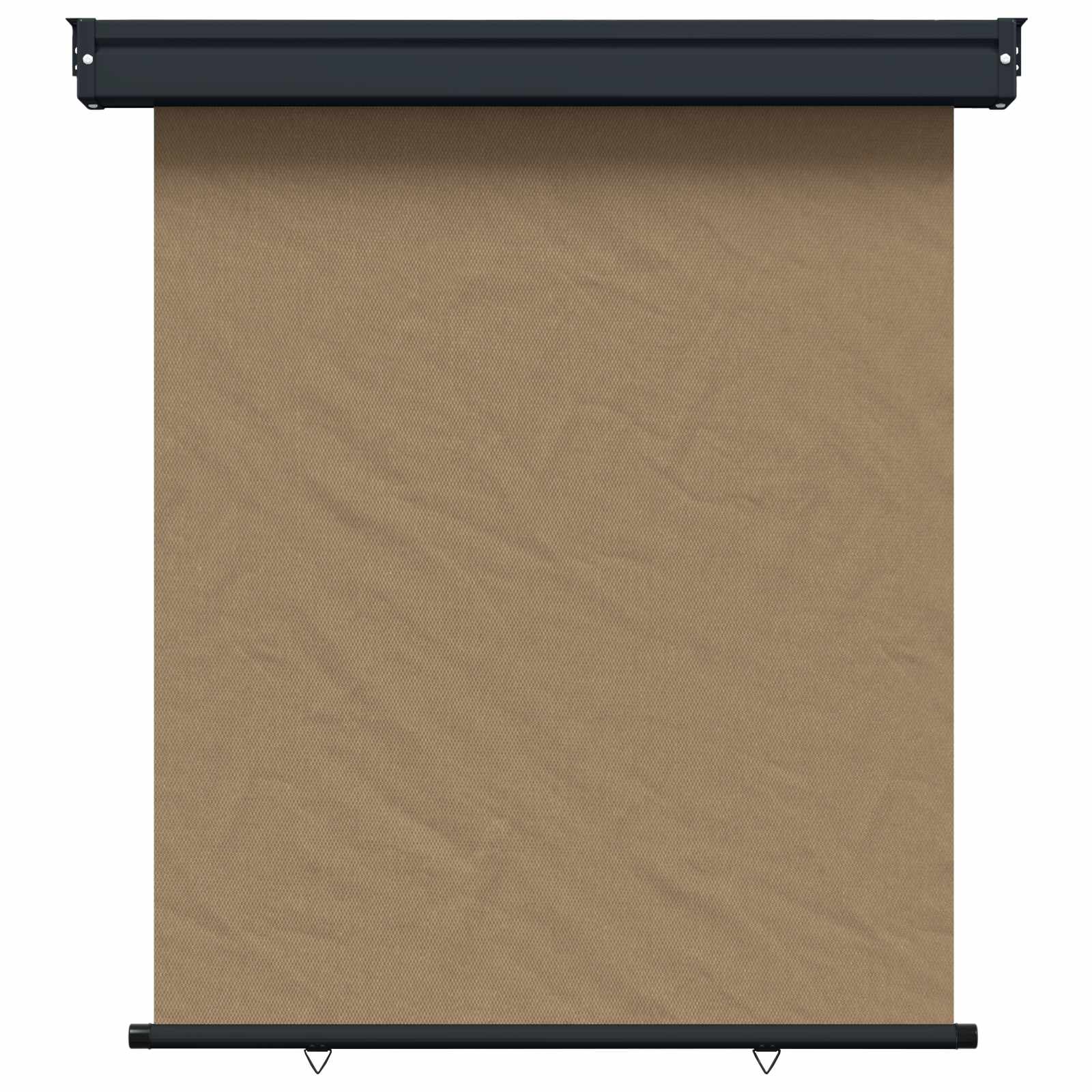 Maison Exclusive - Balkon Seitenmarkise 117 X 250 Cm 100% Polyest