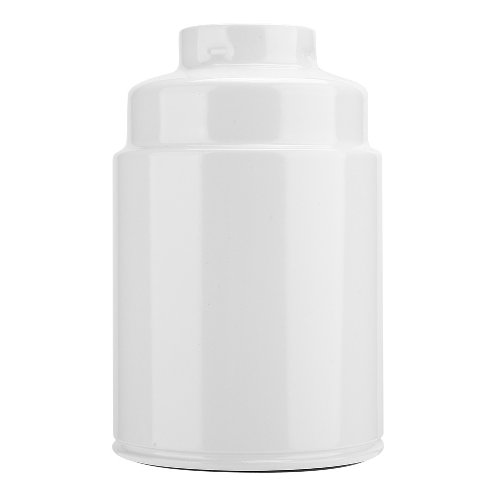 Kompletter Dieselkraftstofffilter Und Wasserabscheider, Kompatibel Mit Chevrolet 2001-2015 Tp3018