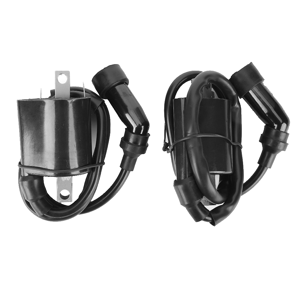 2 Komplette Zündspulen Kompatibel Mit Yamaha Xvs1100 V-star 1999-2009 5el-82320-00-00