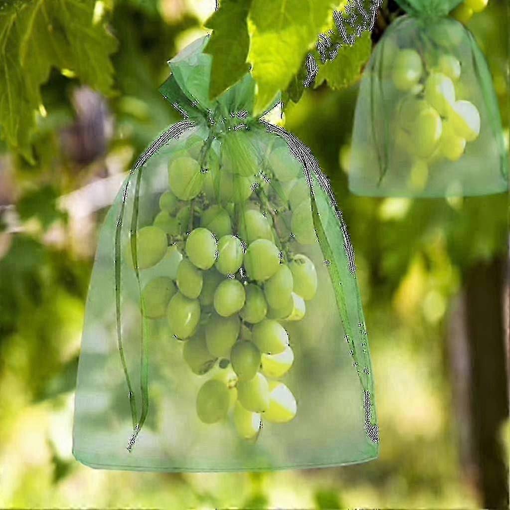 Schutzbeutel Für Obst, 100er-packung, Feinmaschig, Wespen- Und Vogelsicher, Größen 30x20cm Und 23x17cm, Mit Kordelzug, Ideal Für Trauben Und Beeren.