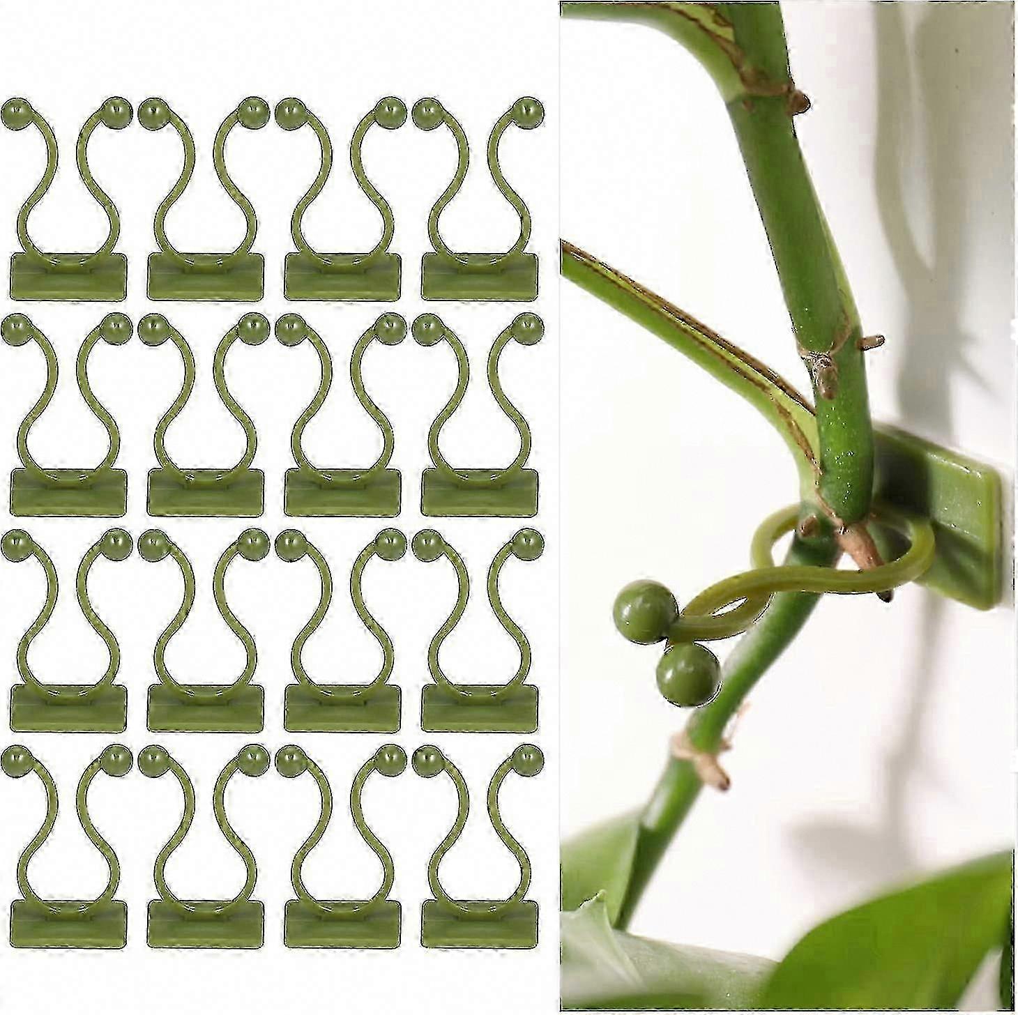 100 Selbstklebende Pflanzenclips, Grün, Wandhaken Für Kletterpflanzen, Pflanzenstützen, Rankhilfen