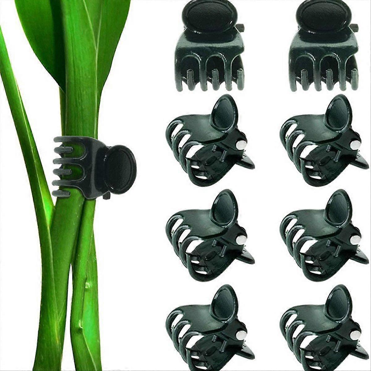 Orchideenstielstütze, Große Gartenclips Für Pflanzen, Robuste Pflanzenbinder, Anzuchtset, Blumenstielclips