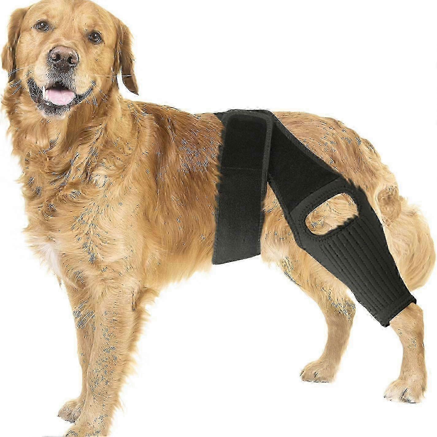 Kniebandage Für Hunde Bei Bänderrissen, Stützt Das Hinterbein, Lindert Gelenk- Und Muskelschmerzen, Verstellbares Orthopädisches Design