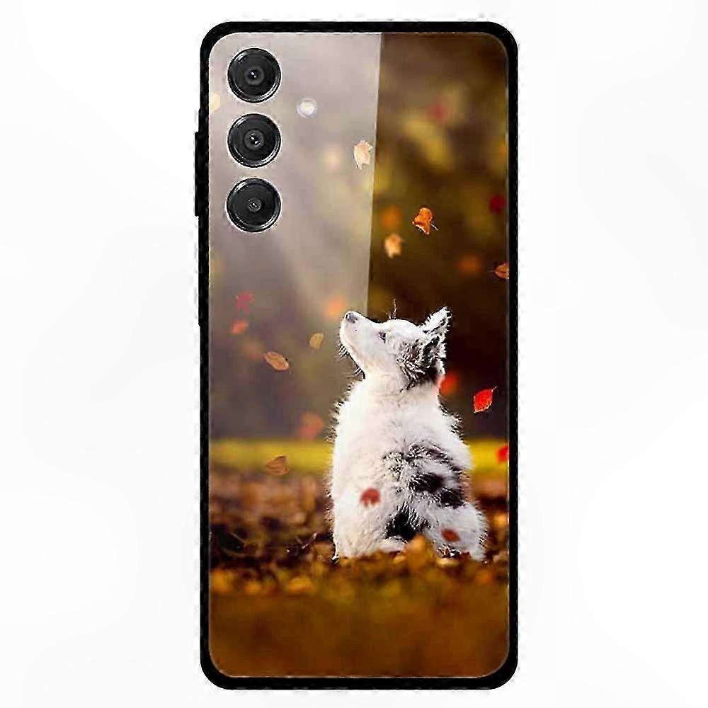Schutzhülle Aus Gehärtetem Glas Mit Aufgedrucktem Muster Für Samsung Galaxy A16 5g/4g, Robuster Rückseitenschutz, Schlanke Hülle Mit Grafikdesign, Stoßfestes Handy-zubehör.