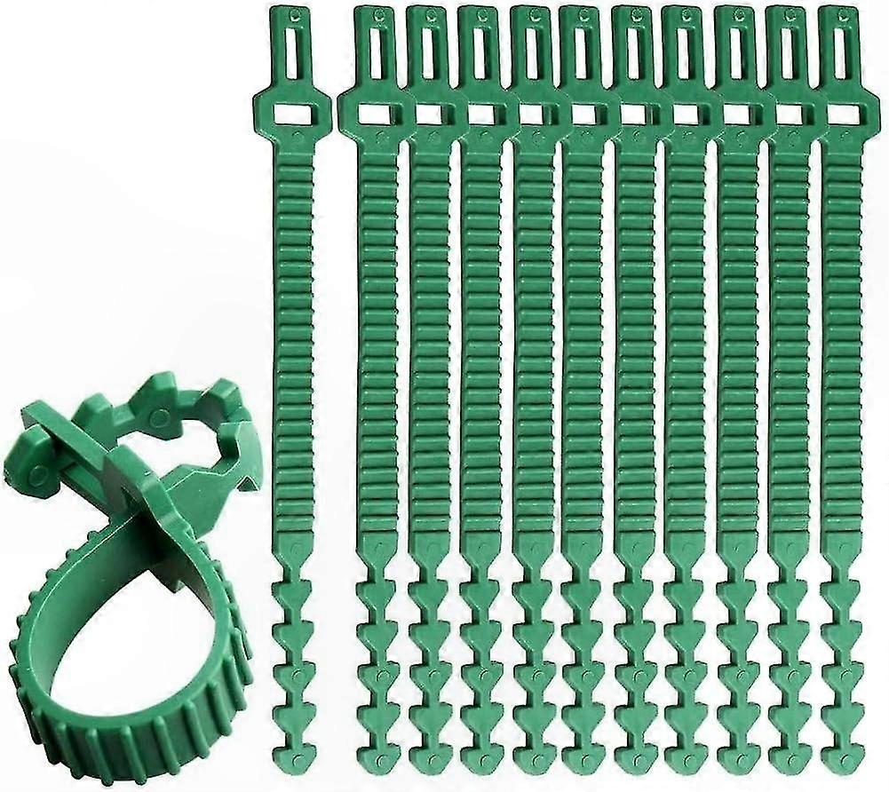 Set Mit 10 Robusten Pflanzenstützen, 35 Cm Verstellbare Gartenstützen Für Sträucher Und Rosen, Starke Verriegelungsclips