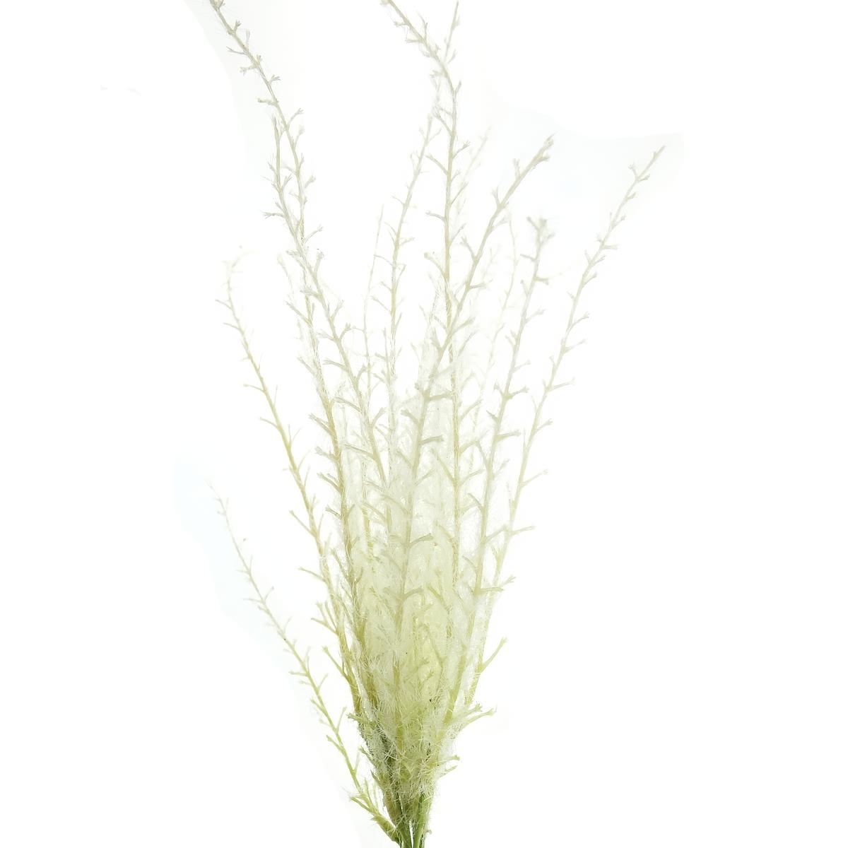 Deko® Florale Pampasgras Creme Bündel 45 Cm - Kunstblumen