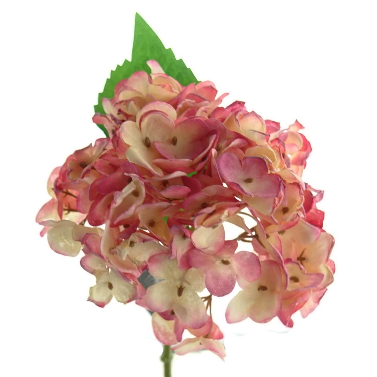 Hortensienblüte Pink & Creme Mit Blatt 34 Cm - Kunstblumen