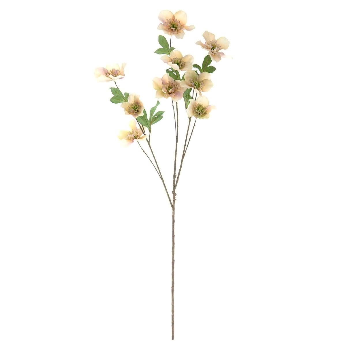 Dpi Christrosenstiel Peach-cream Mit 9 Blüten 93 Cm - Kunstblumen